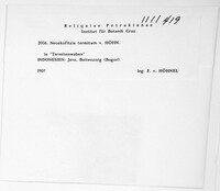 Image Associated With the Occurrence